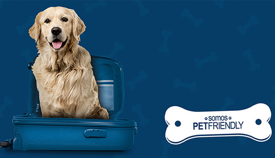 Quer viajar com o seu animal de estimação? Hotel ILUNION San Mamés Bilbao